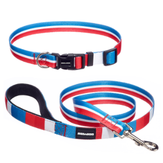 Dog Leash and Collar (small dogs)