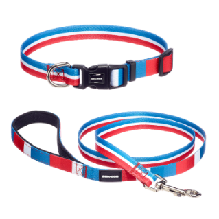 Dog Leash and Collar (medium dogs)